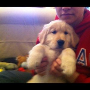 Meet your Posher, John